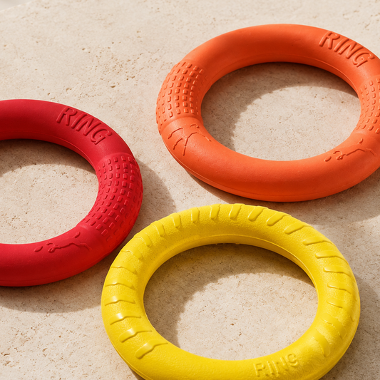 Interactive Dog Training Ring