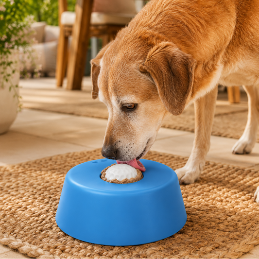 Slow Feeder Dog Bowl