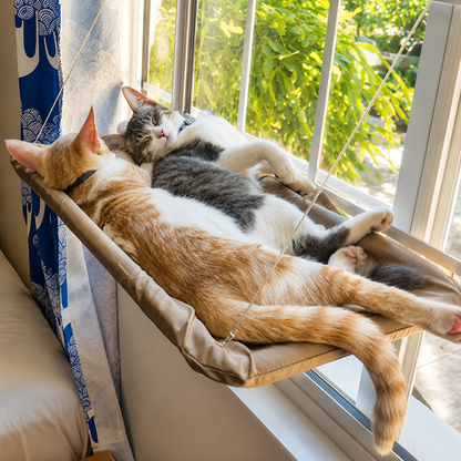 Cat Window Hammock