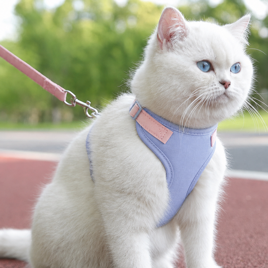 Cat Harness with Leash