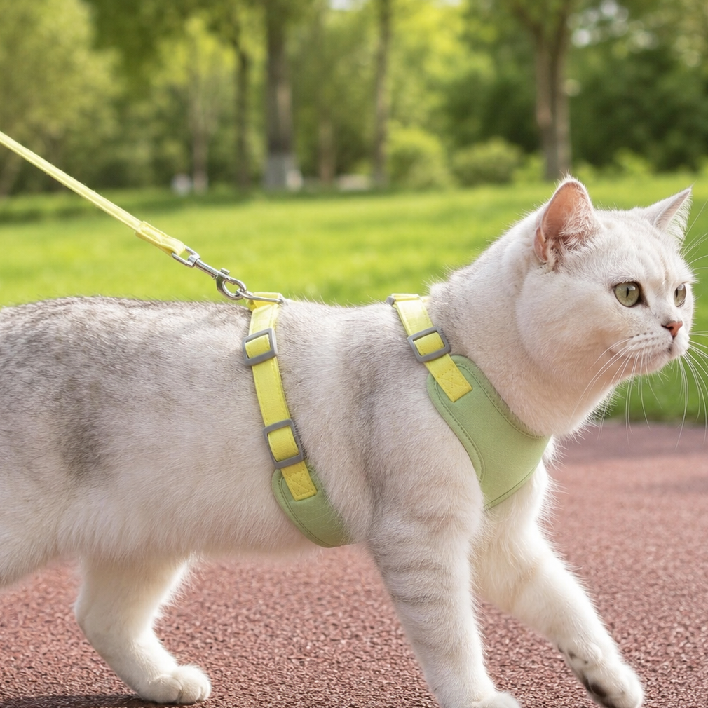 Cat Harness with Leash