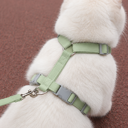 Cat Harness with Leash