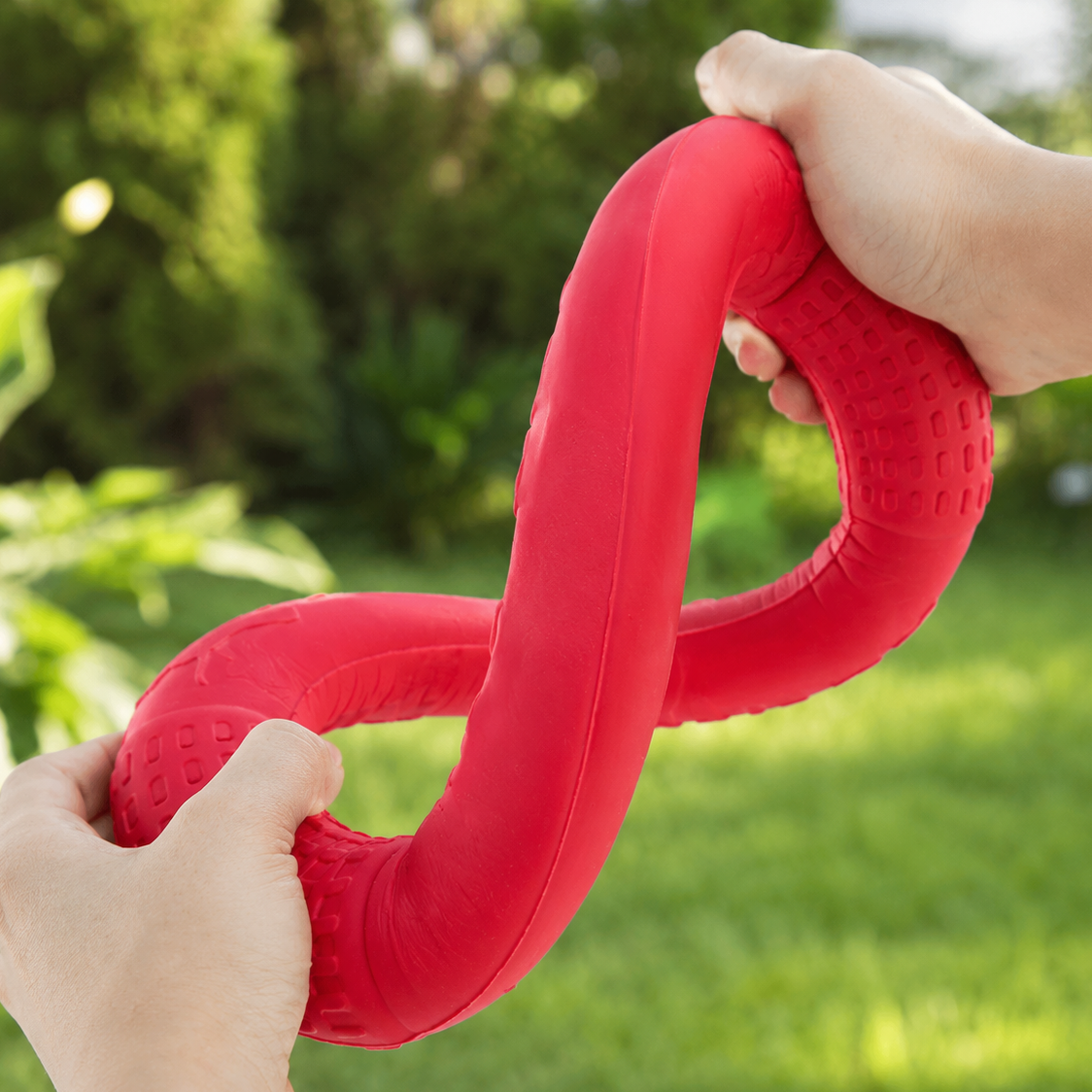 Interactive Dog Training Ring