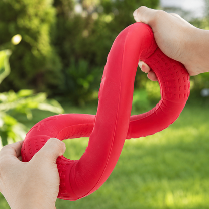 Interactive Dog Training Ring
