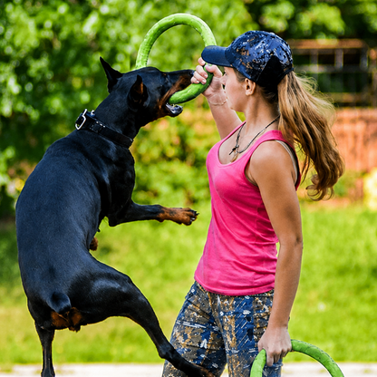Interactive Dog Training Ring